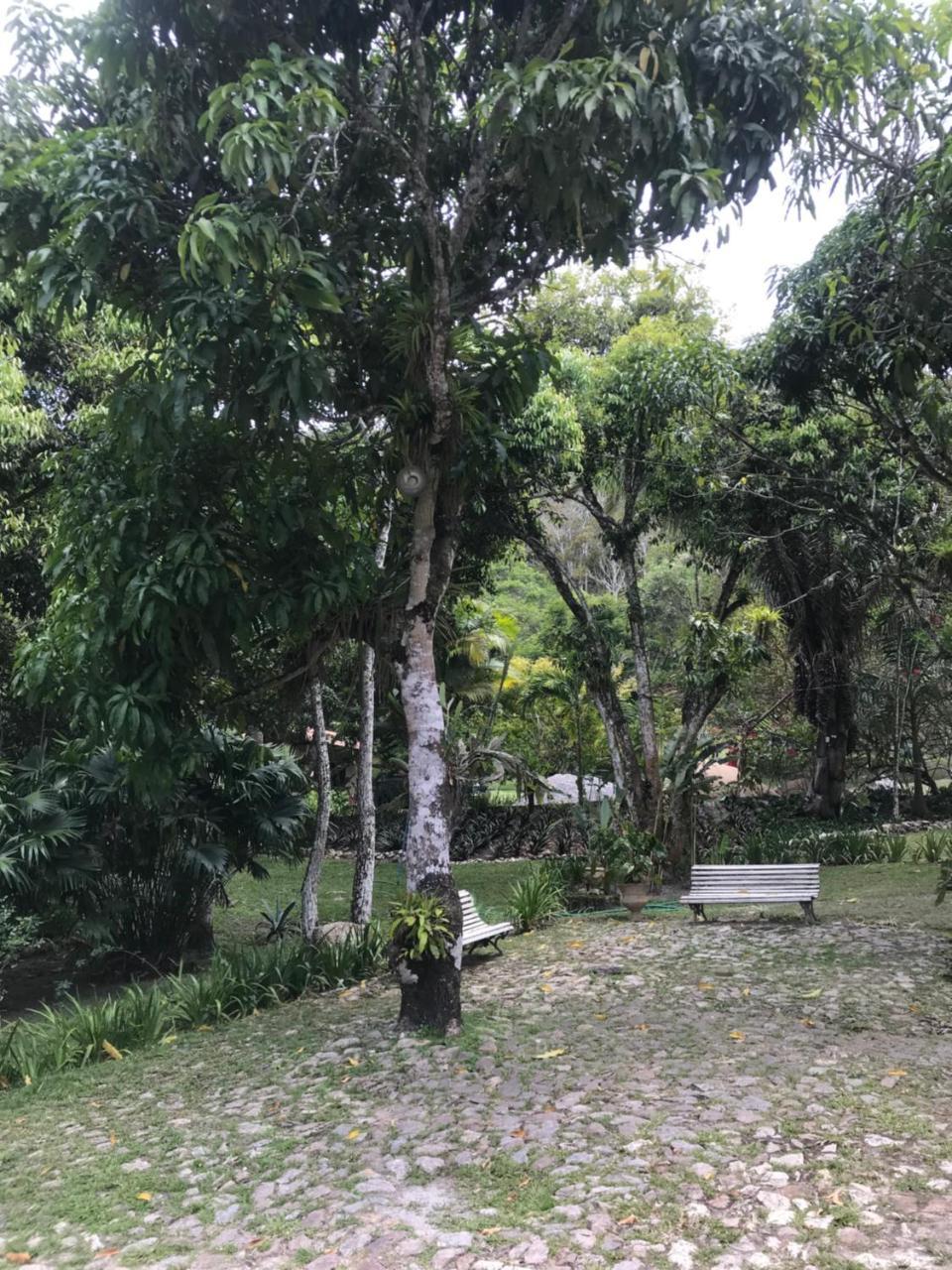 Pousada Chale Cana Brava Guaramiranga Ngoại thất bức ảnh